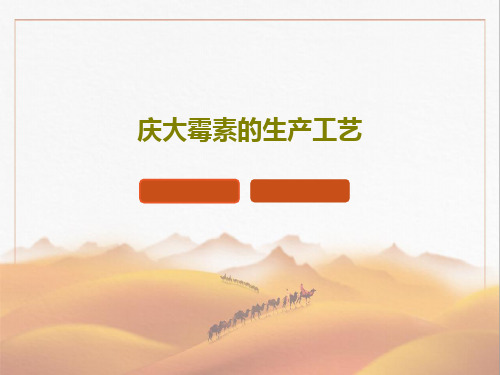 庆大霉素的生产工艺34页PPT