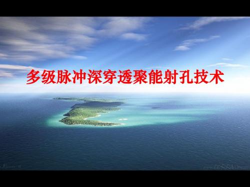多级脉冲深穿透聚能射孔技术