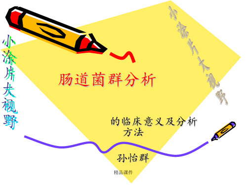 肠道菌群粪便涂片