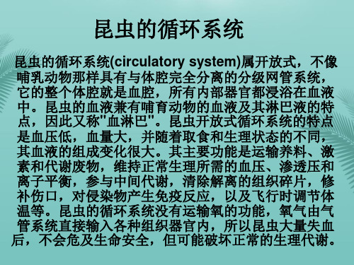 昆虫循环系统及生理最全PPT资料