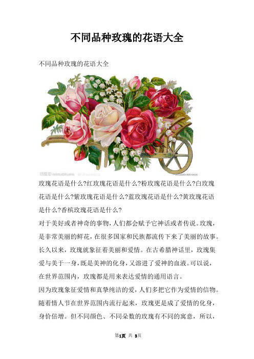 不同品种玫瑰的花语大全