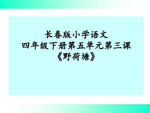 长春版语文四年级下册《野荷塘》精品PPT课件
