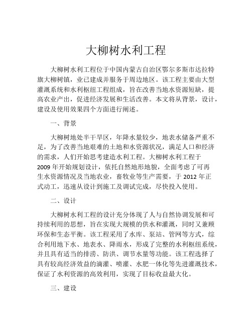 大柳树水利工程