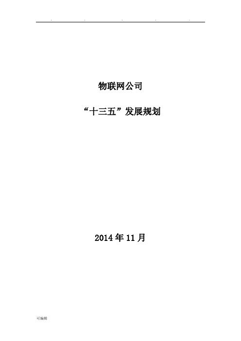 物联网公司“十三五”发展规划报告