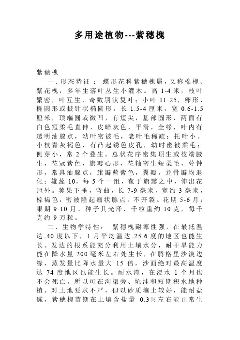 多用途植物---紫穗槐