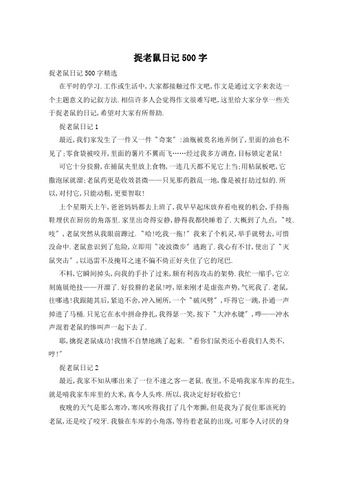 捉老鼠日记500字