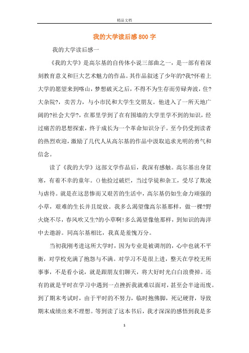 我的大学读后感800字