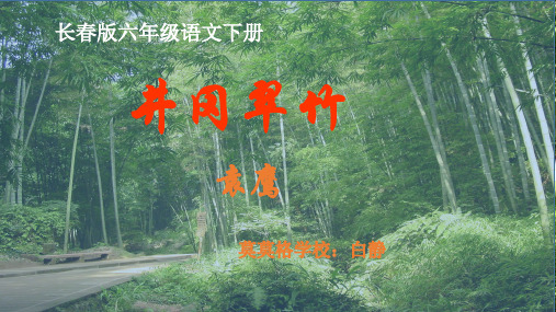 井冈翠竹