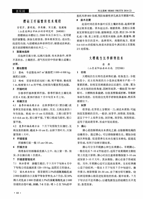 大樱桃生长季修剪技术