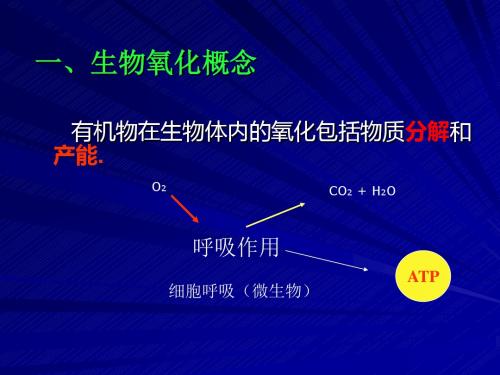 第六章 生物氧化1