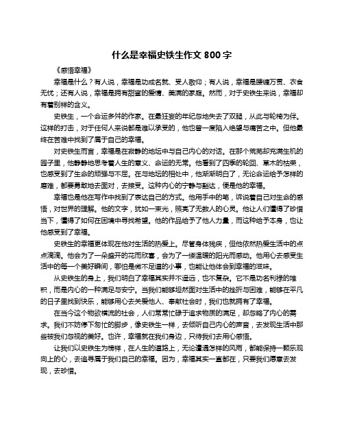 什么是幸福史铁生作文800字