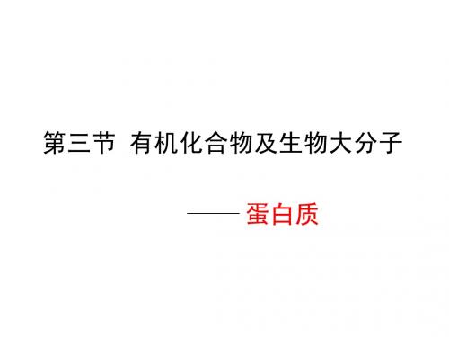 第三课时 第三节 蛋白质结构与功能