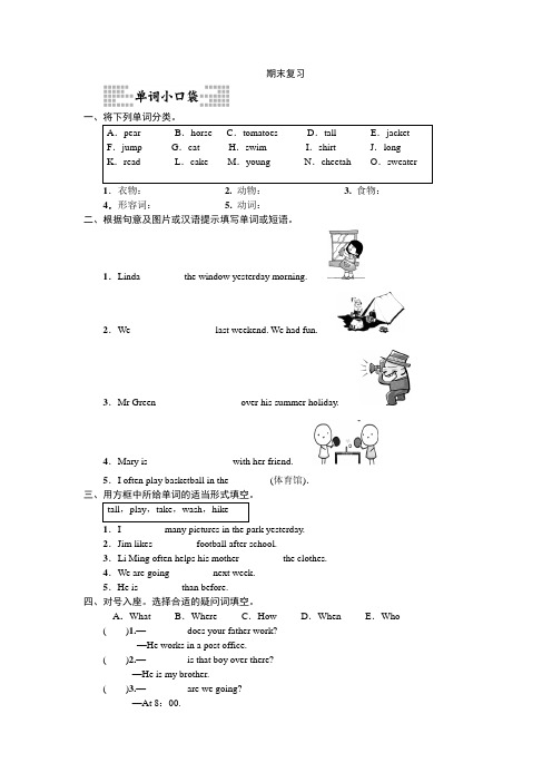 人教PEP六年级下册期末复习(含答案)【精选】.doc