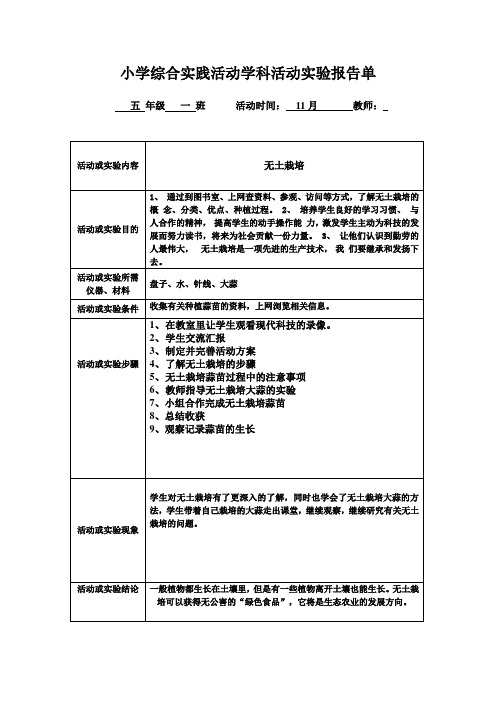 无土栽培大蒜实验活动报告
