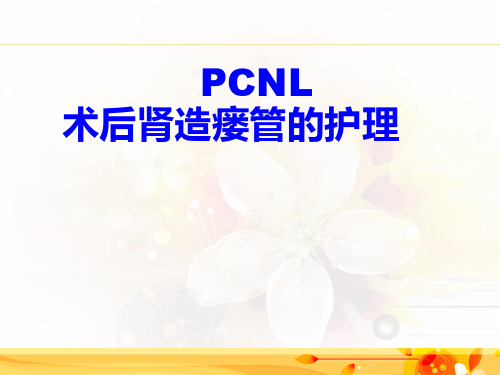 PCNL护理