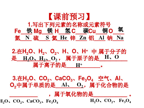 仁爱版化学九年级上册 3.3 纯净物组成的表示方法 课件   (共15张PPT)