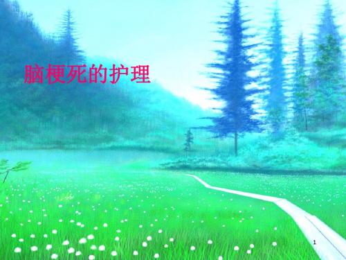脑梗塞康复护理ppt课件