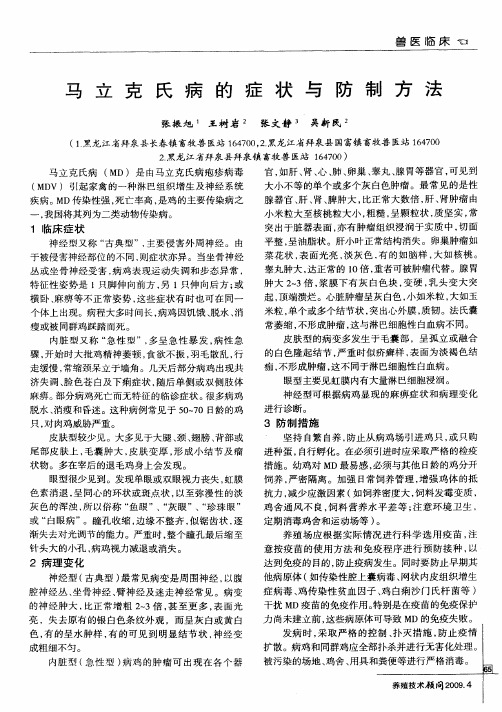 马立克氏病的症状与防制方法