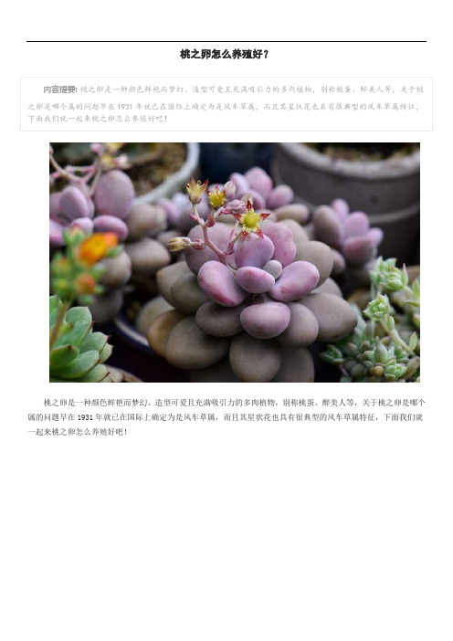桃之卵怎么养殖好