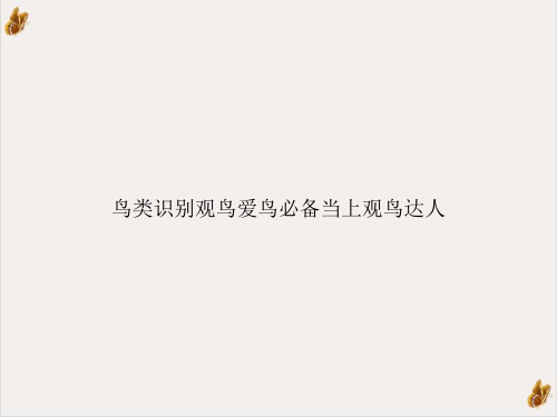 鸟类识别观鸟爱鸟必备当上观鸟达人课件