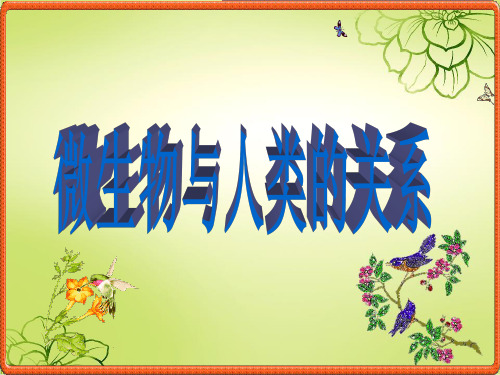 微生物与人类的关系知识讲解