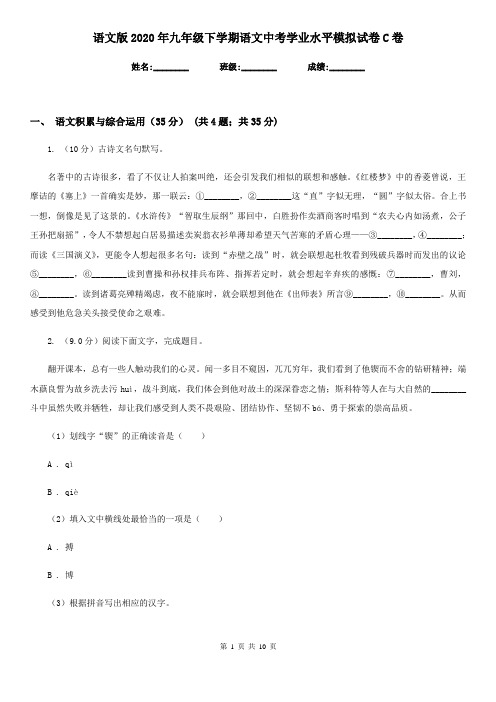 语文版2020年九年级下学期语文中考学业水平模拟试卷C卷
