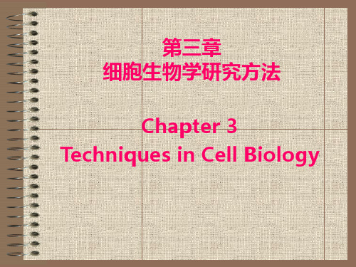 细胞生物学 第3章 细胞生物学研究方法 图文