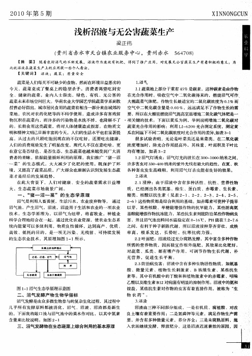 浅析沼液与无公害蔬菜生产