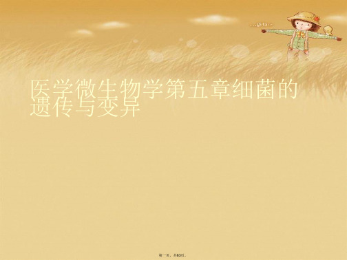 医学微生物学第五章细菌的遗传与变异