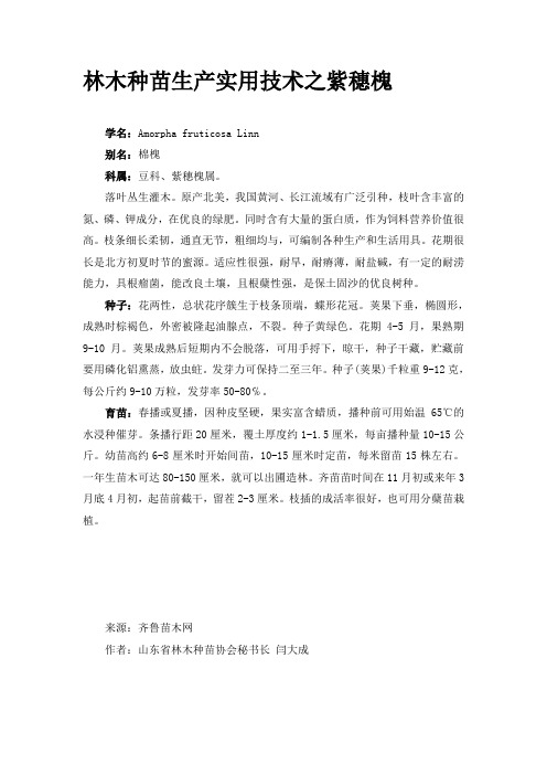 林木种苗生产实用技术之紫穗槐