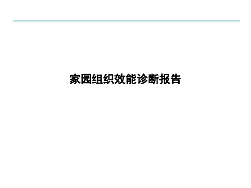 某化工公司组织效能诊断报告(ppt 29页)