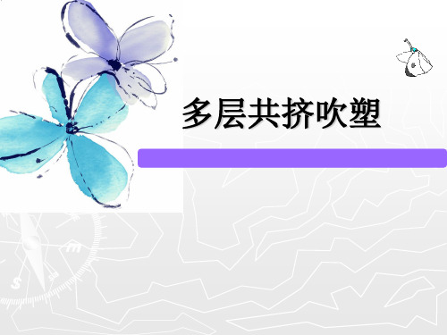 多层共挤吹塑