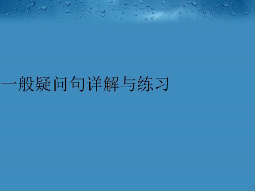 【精品】一般疑问句详解与练习完整版