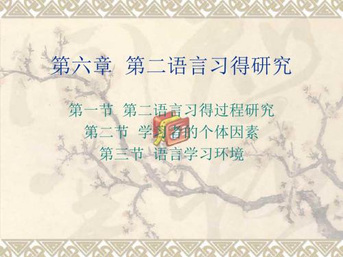 对外汉语教学概论-习得篇3第六章第二语言习