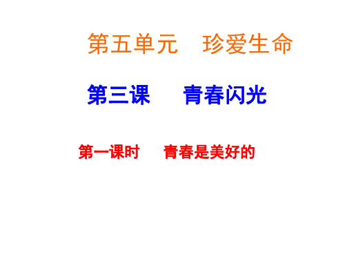 初一政治下学期青春闪光-第一课时-粤教沪科版