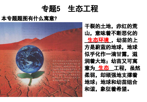 人教版生物选修三5.1生态工程的基本原理  课件