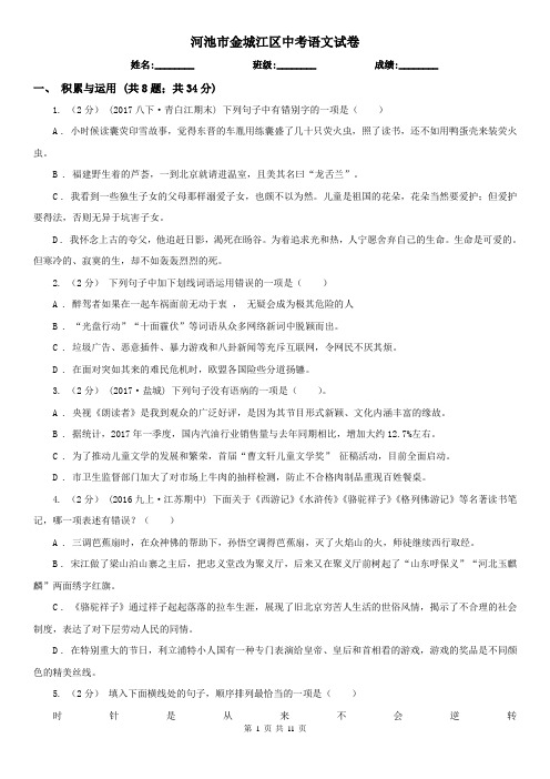 河池市金城江区中考语文试卷