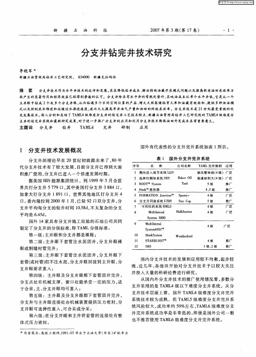 分支井钻完井技术研究