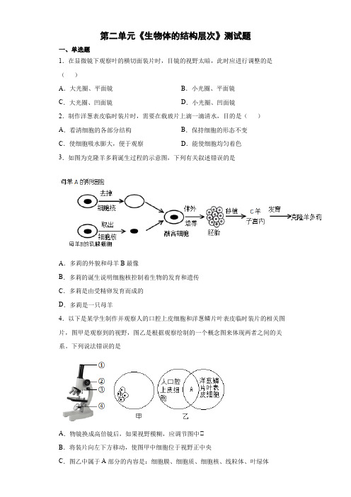 人教版七年级上册生物第二单元生物体的结构层次测试题(含答案)