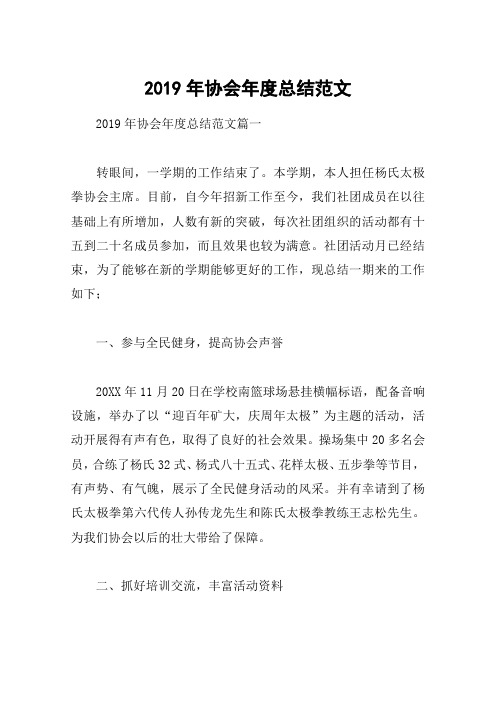 2019年协会年度总结范文