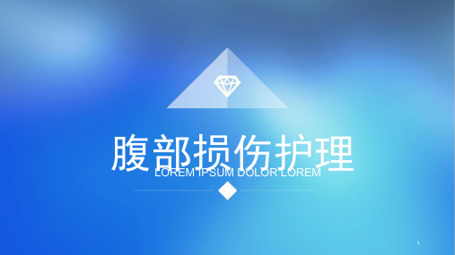 腹部损伤护理ppt课件