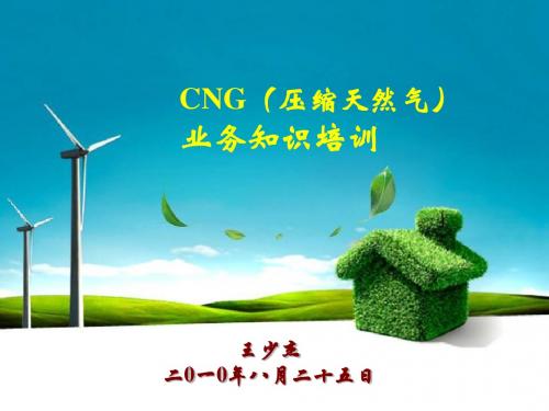 CNG业务知识培训(1)