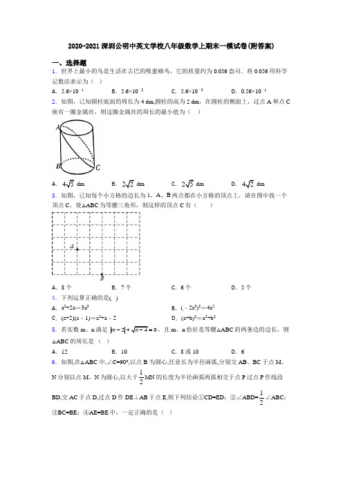 2020-2021深圳公明中英文学校八年级数学上期末一模试卷(附答案)