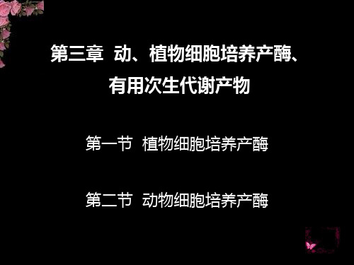 酶工程 细胞工程产酶