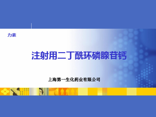 力素-心脏科(1)