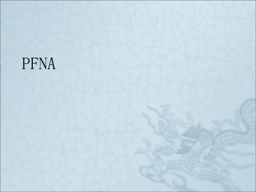 《pfna》ppt课件