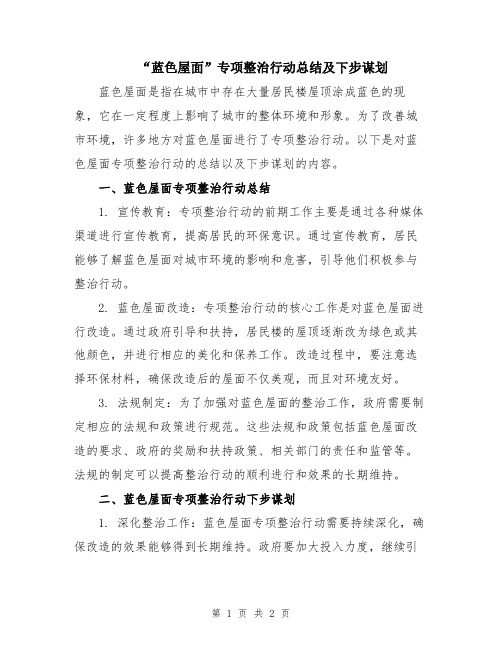 “蓝色屋面”专项整治行动总结及下步谋划