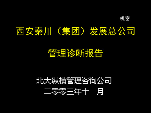 北大纵横-—西安秦川—母子公司管理1031
