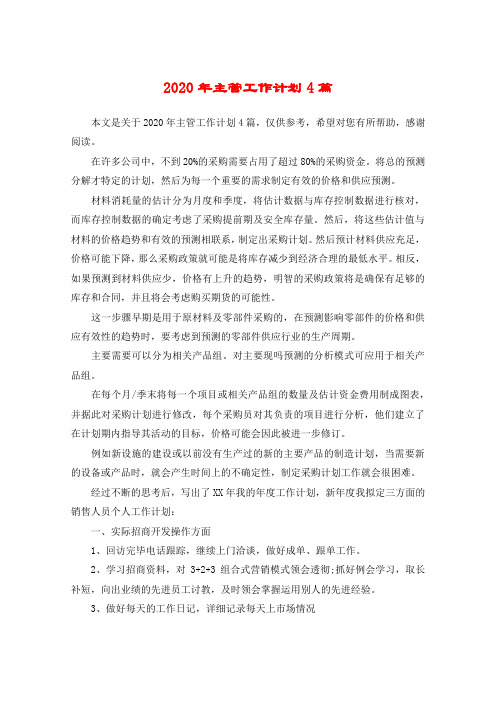 2020年主管工作计划4篇
