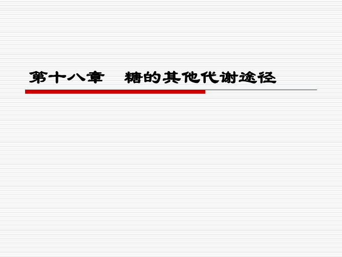 中国海洋大学资料 糖的其他代谢途径